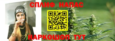 эйфоретик Баксан