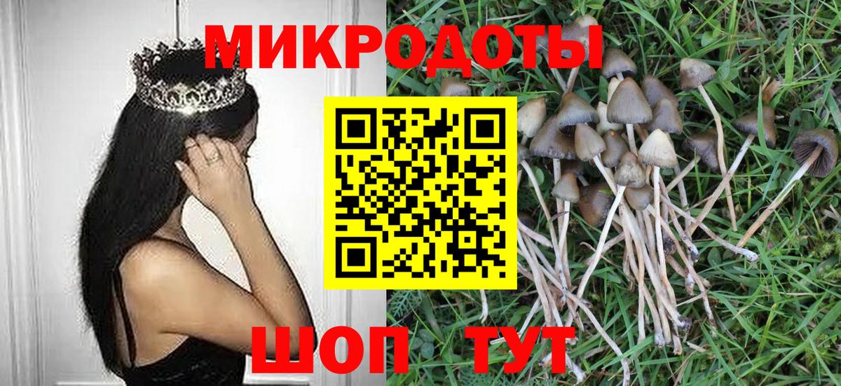 Псилоцибиновые грибы мухоморы  Вход с VPN  Алексин  Галлюциногенные грибы ЛСД 